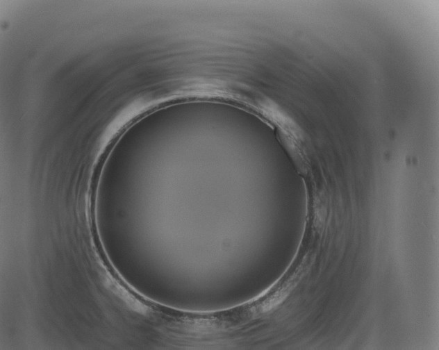 X0000085251334200703091248