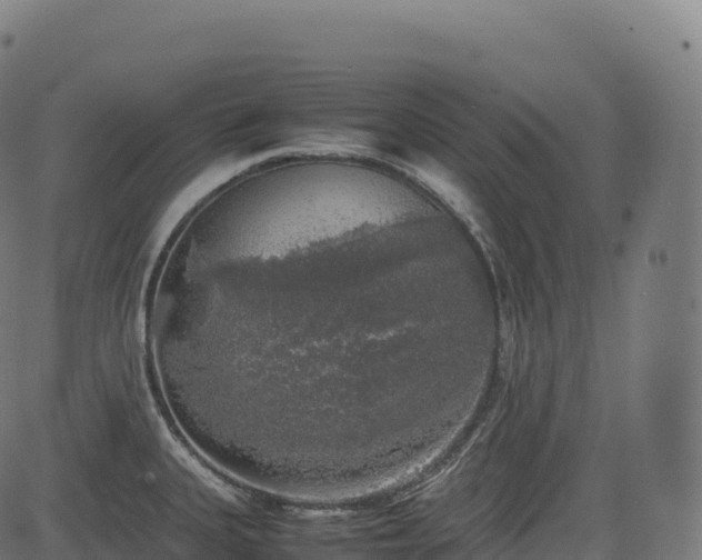 X0000085251335200703091248