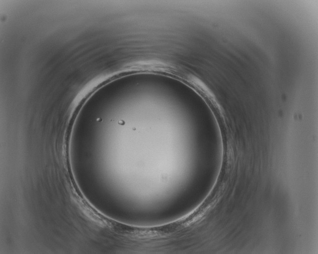 X0000085251336200703091248