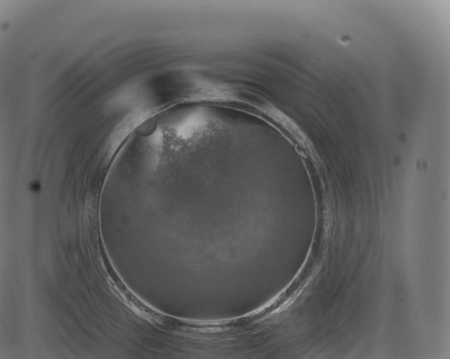 X0000085251337200703091248