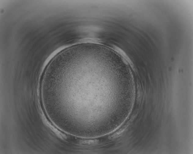 X0000085251339200703091248