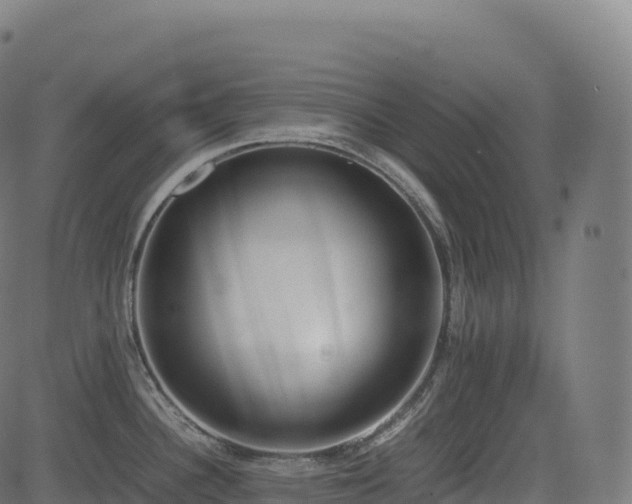 X0000085251340200703091248