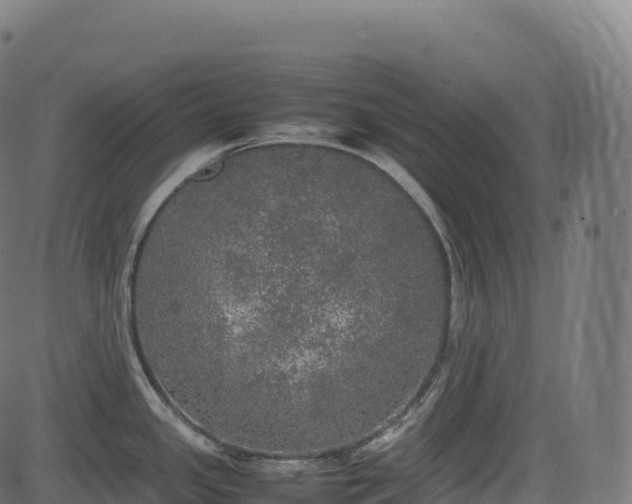 X0000085251341200703091248