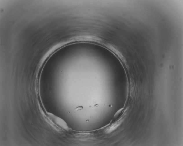 X0000085251342200703091248