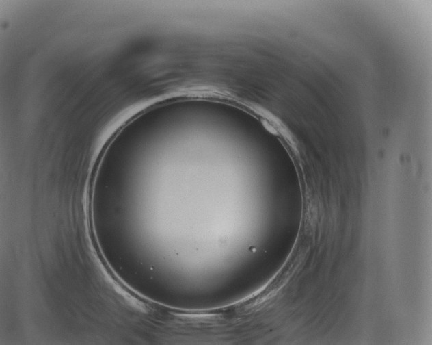 X0000085251343200703091248