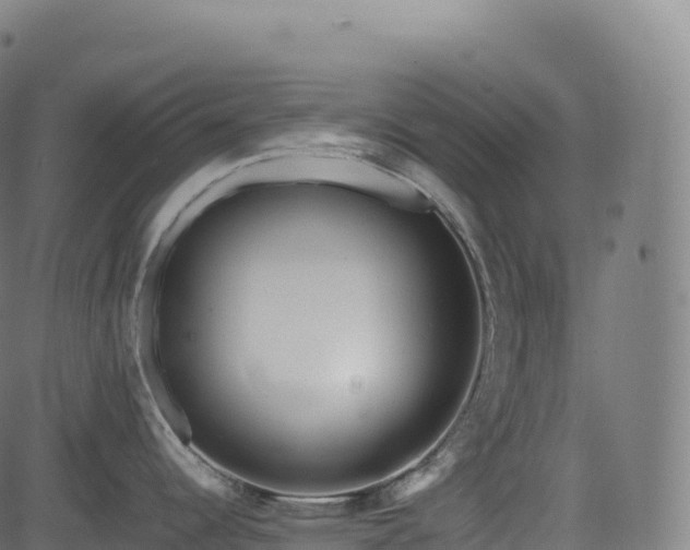 X0000085251344200703091248