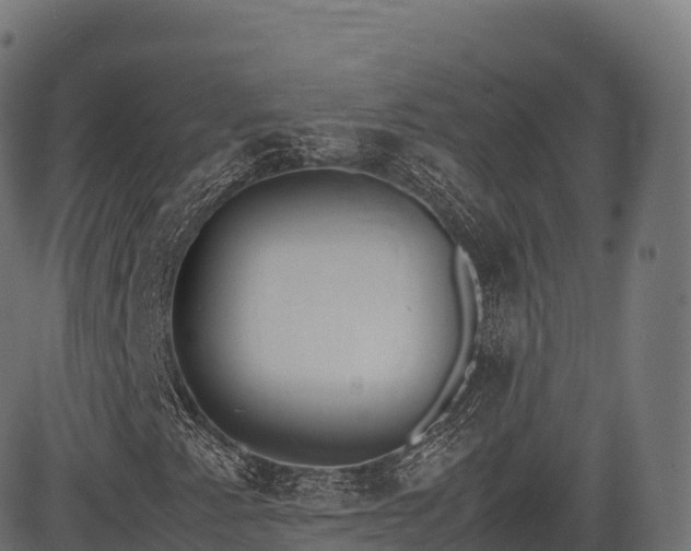 X0000085251345200703091247