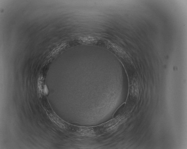 X0000085251346200703091247