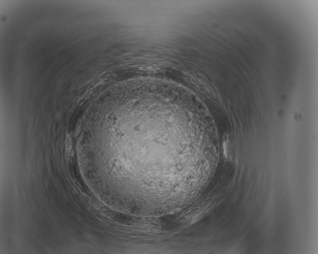 X0000085251347200703091247