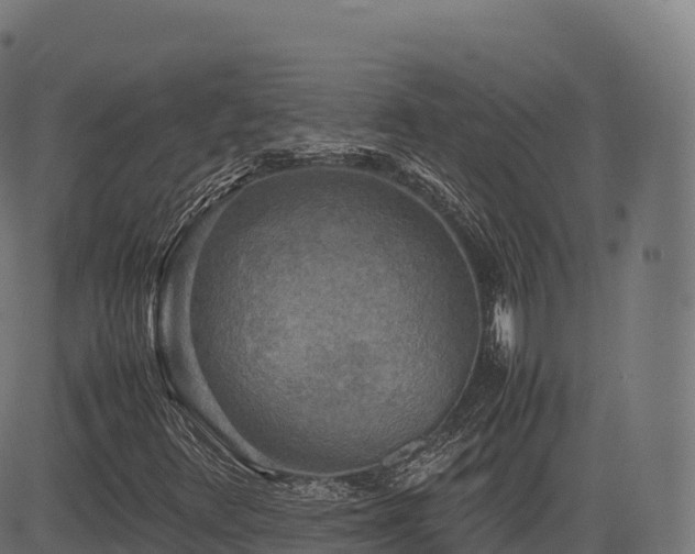 X0000085251348200703091247