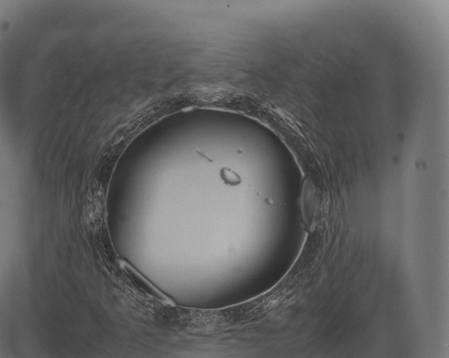 X0000085251349200703091247