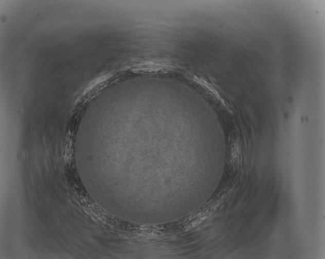 X0000085251350200703091247