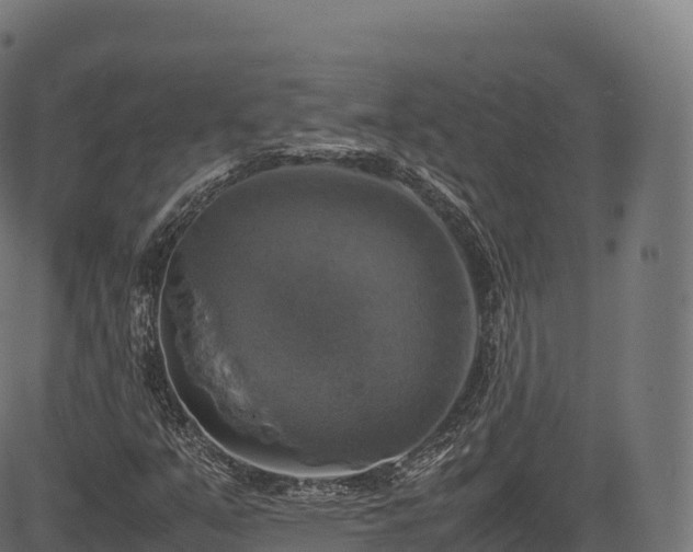 X0000085251351200703091247