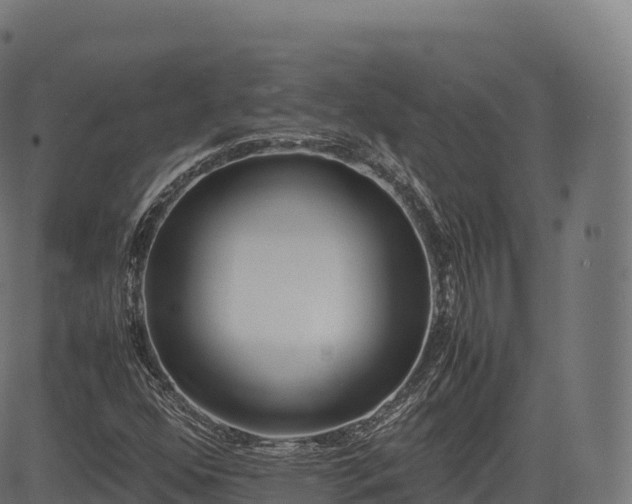 X0000085251352200703091247