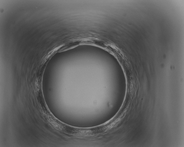 X0000085251353200703091247