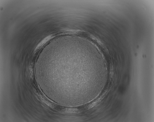 X0000085251354200703091247