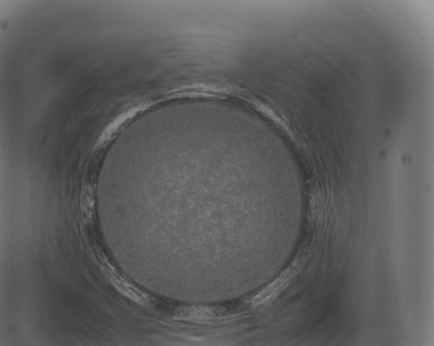 X0000085251355200703091247