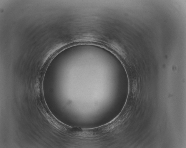 X0000085251356200703091247