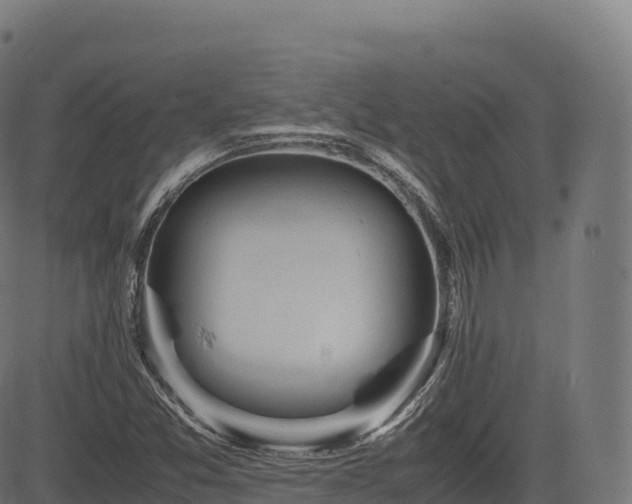 X0000085251357200703091247