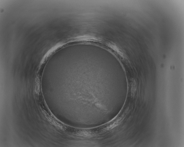 X0000085251358200703091247