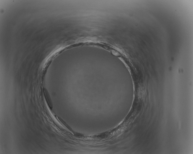 X0000085251359200703091247