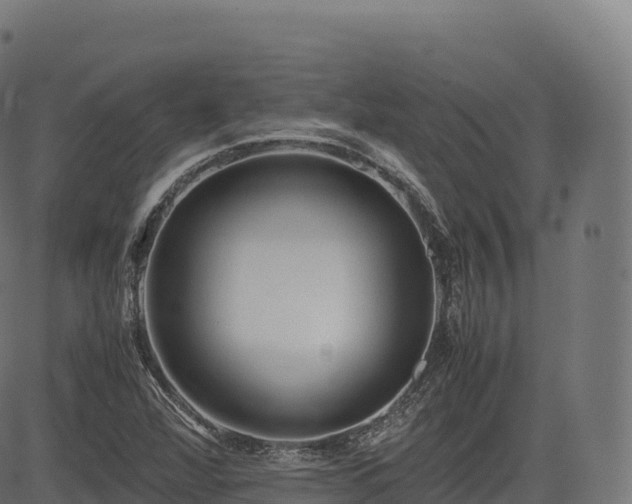 X0000085251360200703091247