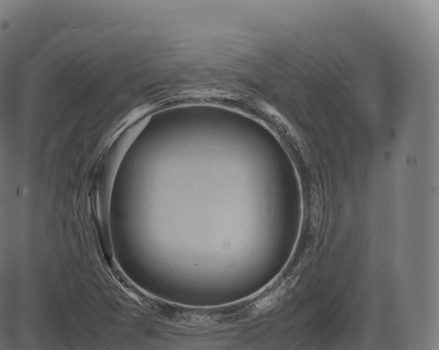 X0000085251361200703091247