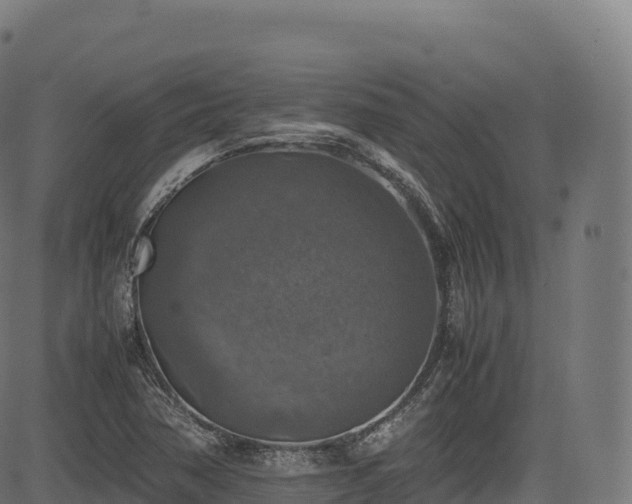 X0000085251362200703091247