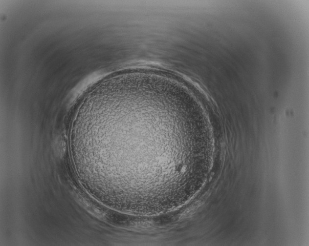 X0000085251363200703091247