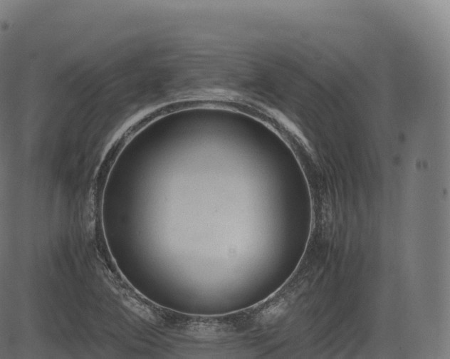 X0000085251364200703091247