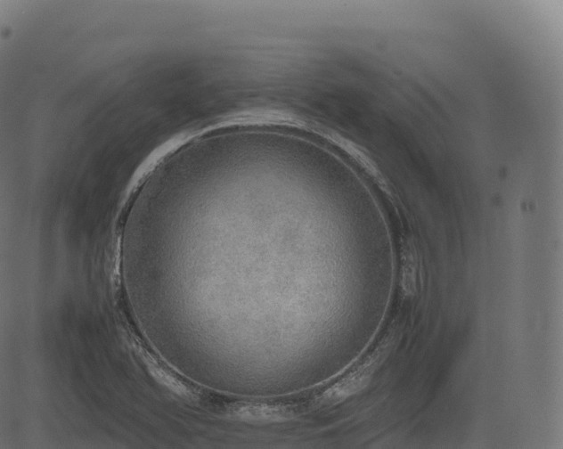 X0000085251366200703091247