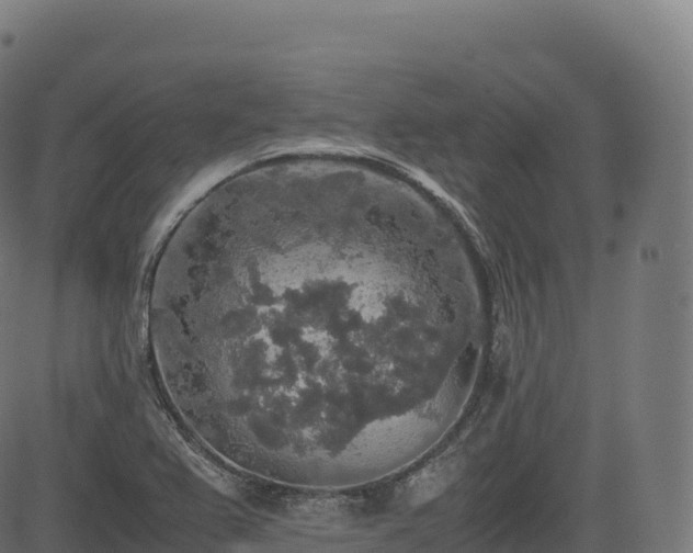 X0000085251367200703091247