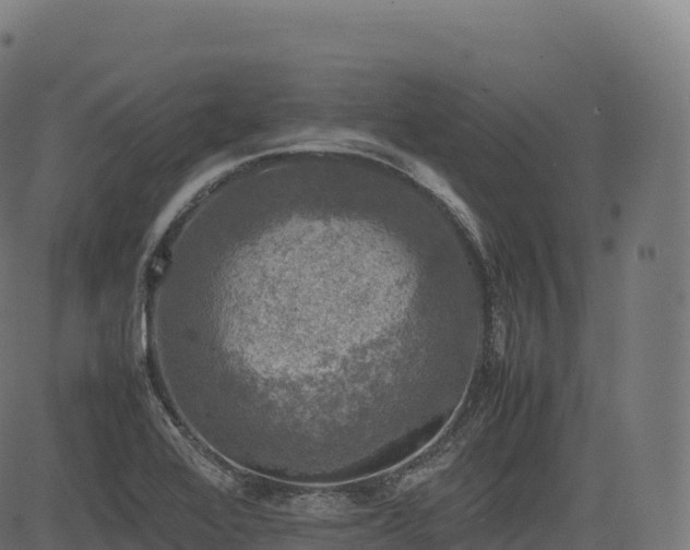 X0000085251368200703091247