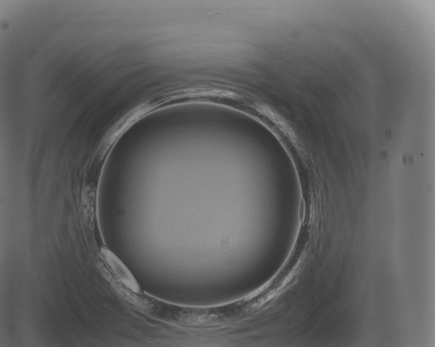 X0000085251369200703091247