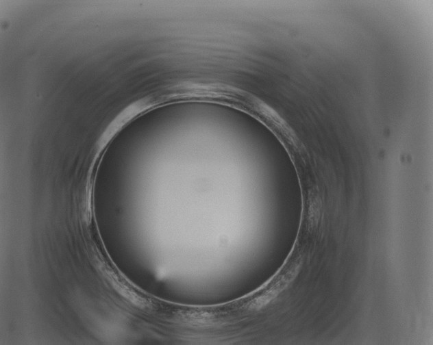 X0000085251370200703091247