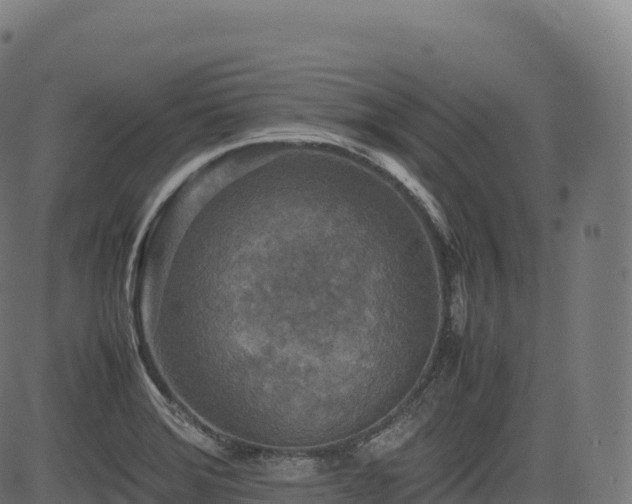 X0000085251372200703091247