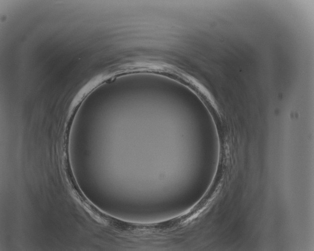 X0000085251373200703091247