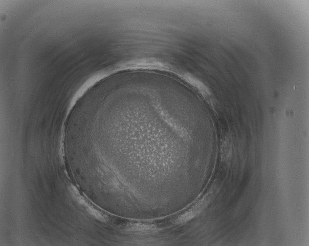 X0000085251374200703091247