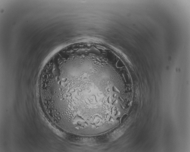 X0000085251375200703091247