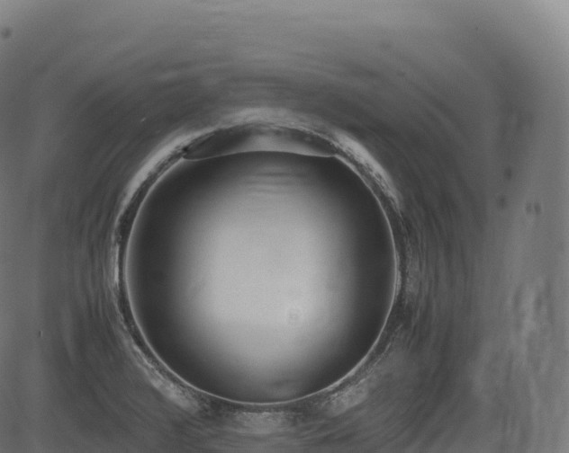 X0000085251376200703091247