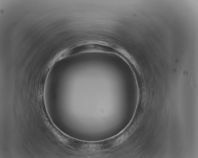 X0000085251377200703091247