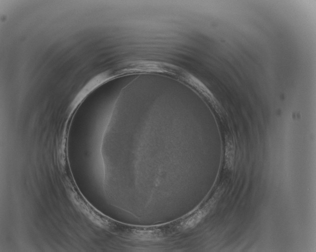 X0000085251378200703091247