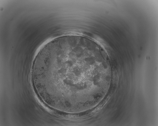 X0000085251379200703091247