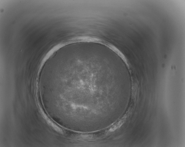 X0000085251381200703091247