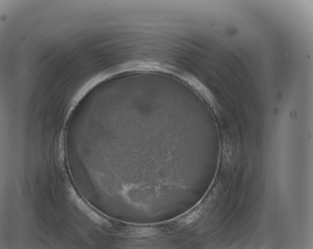 X0000085251382200703091247