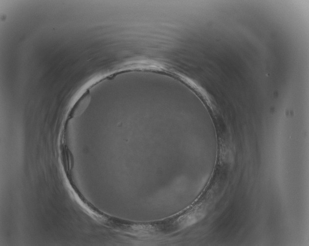 X0000085251383200703091247