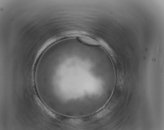 X0000085251384200703091247