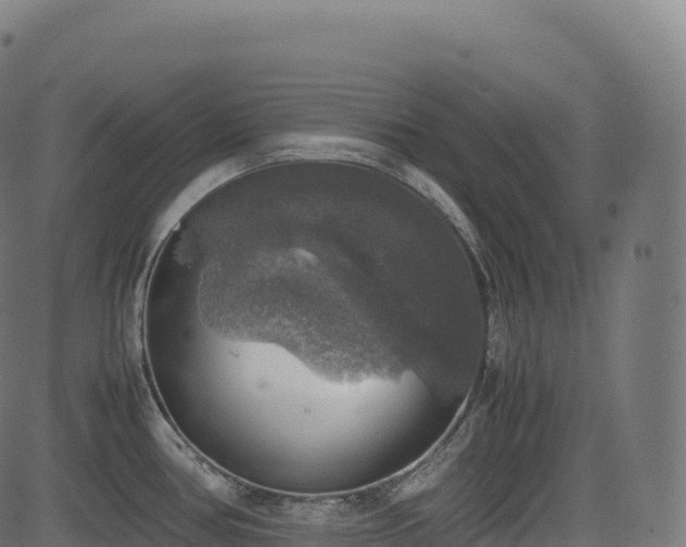 X0000085251386200703091247