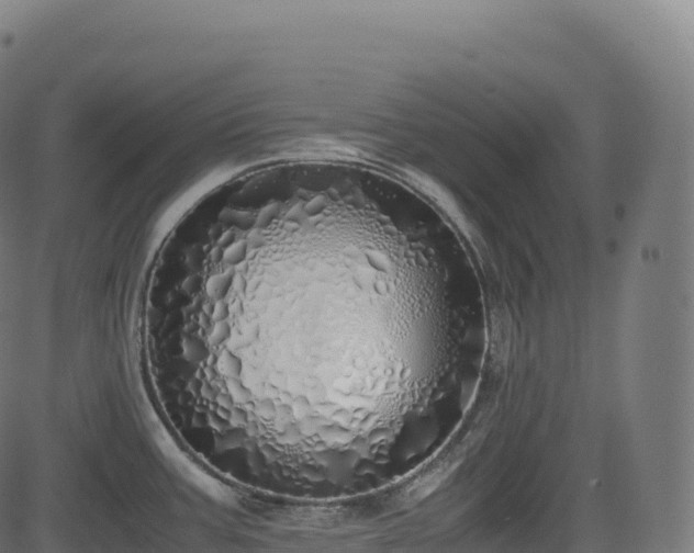 X0000085251387200703091247