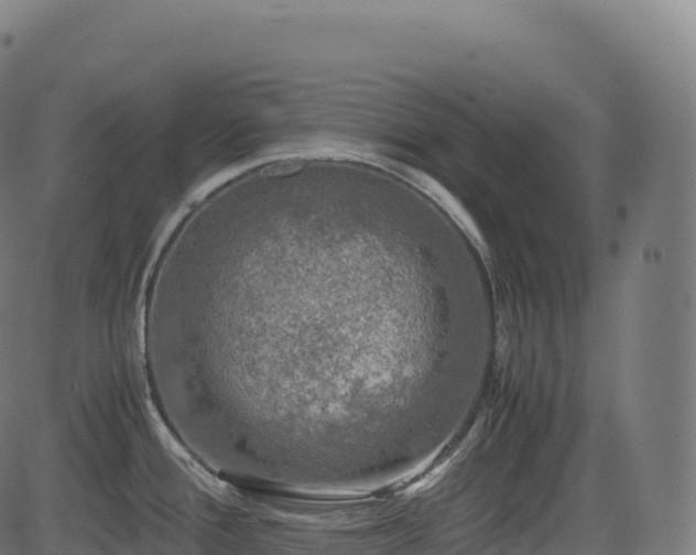 X0000085251388200703091247